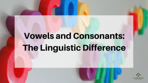 Vowels and Consonants: The Linguistic Difference