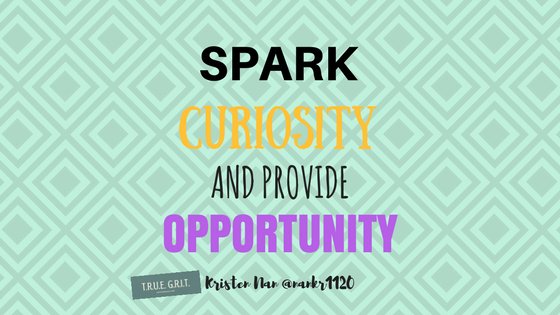 Spark Curiosity and Provide Opportunity for Students